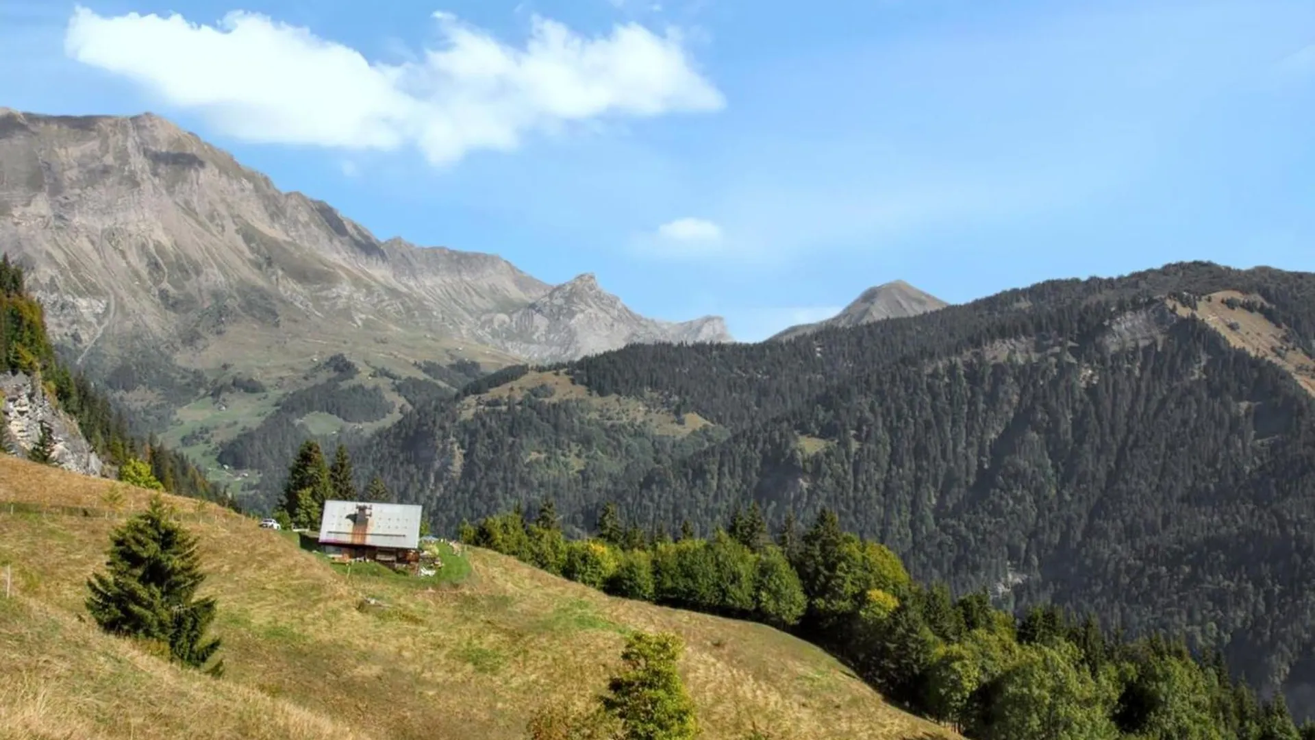 Chalet Spacieux A Saint-Nicolas-La-Chapelle Avec Cheminee France